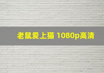 老鼠爱上猫 1080p高清